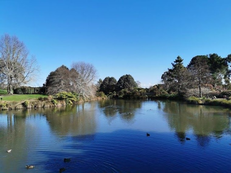 Auckland Botanic Gardens-3